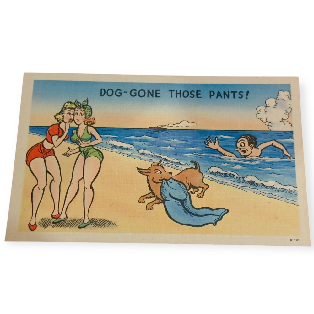 1940’s Linen Unused Humor Beach Dog Took My Pants Postcard, Vintage Humor